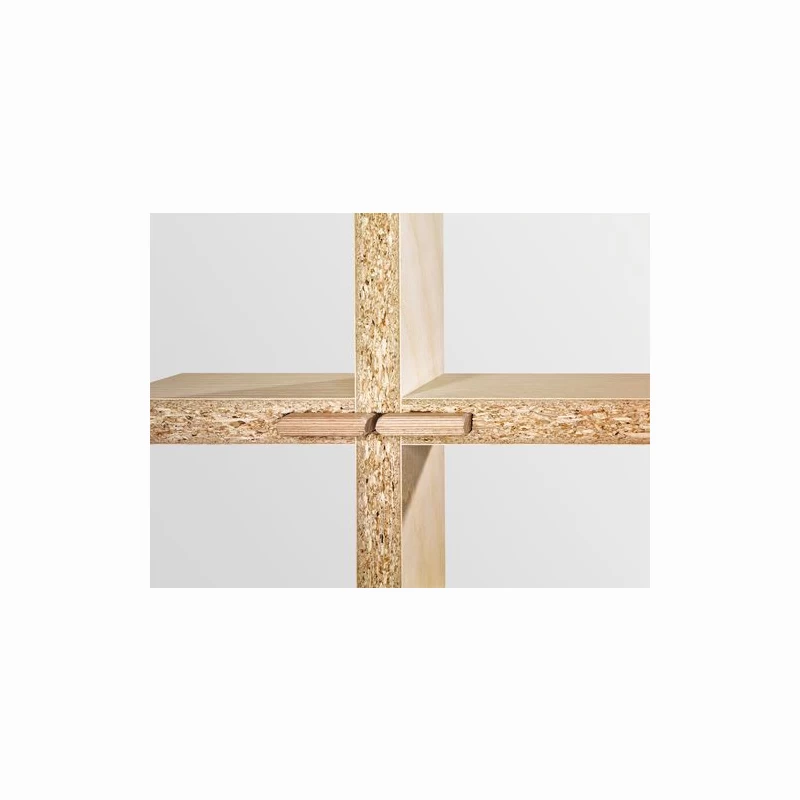 FESTOOL Holzdübel DOMINO D 8x36/130 BU * 203175 3 FESTOOL Holzdübel DOMINO D 8x36/130 BU * 203175 – Bild 3