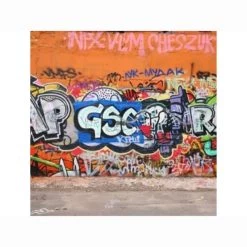 Mipa Graffitischutz F. Fassaden, 5Ltr.